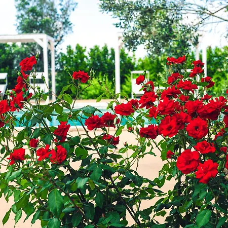 Tenuta Afra
