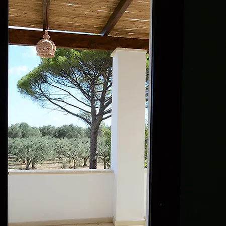 Tenuta Afra