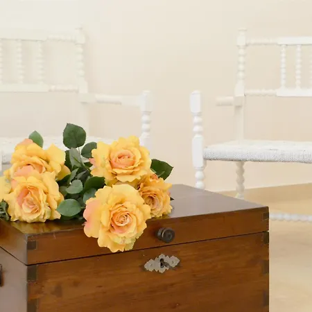 Kır Evi Tenuta Afra *